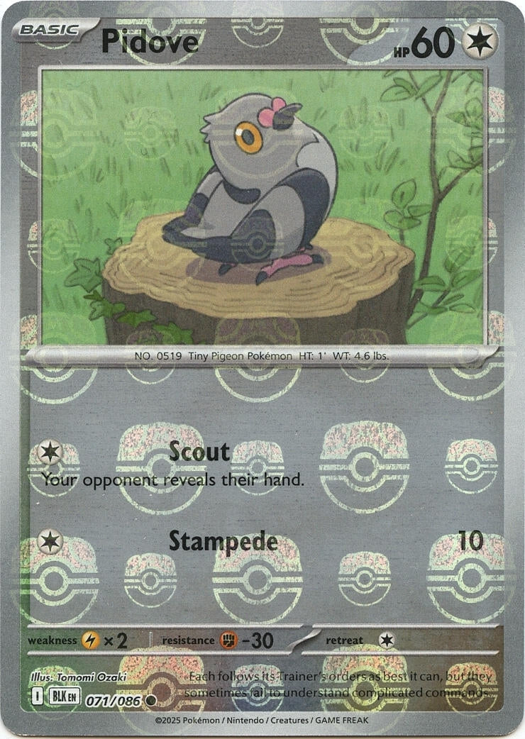 Image for Pidove (Master Ball Pattern) (071/086) (BLK) - Pokemon