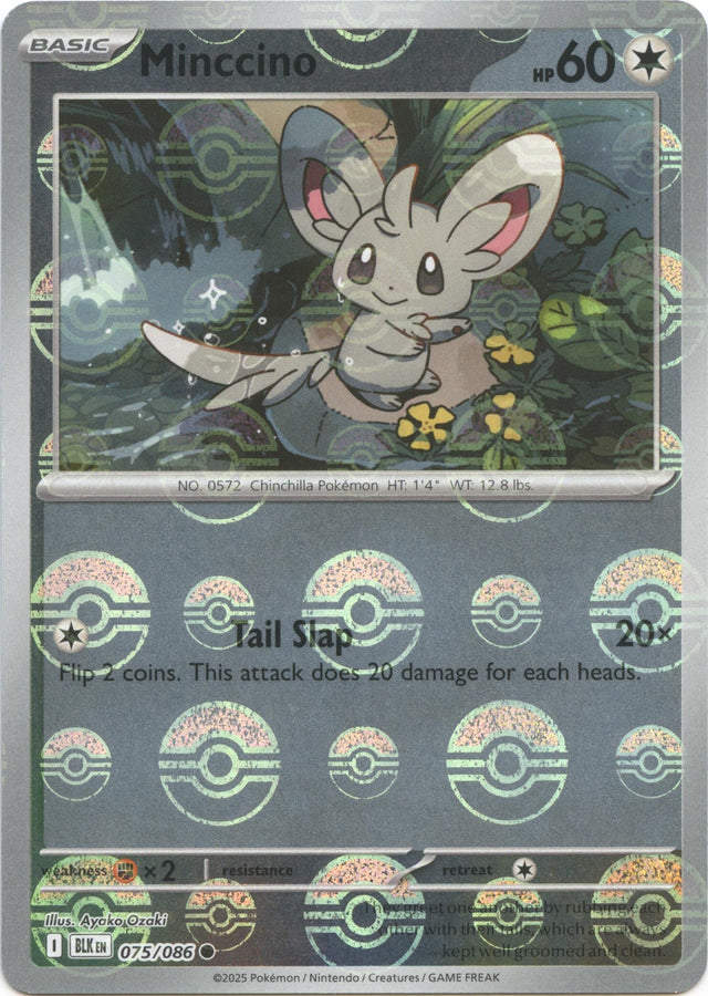 Image for Cinccino (Poke Ball Pattern) (076/086) (BLK) - Pokemon