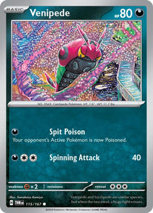 Image for Venipede (115/167) (TWM) - Pokemon