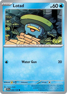 Image for Lotad (035/159) (JTG) - Pokemon