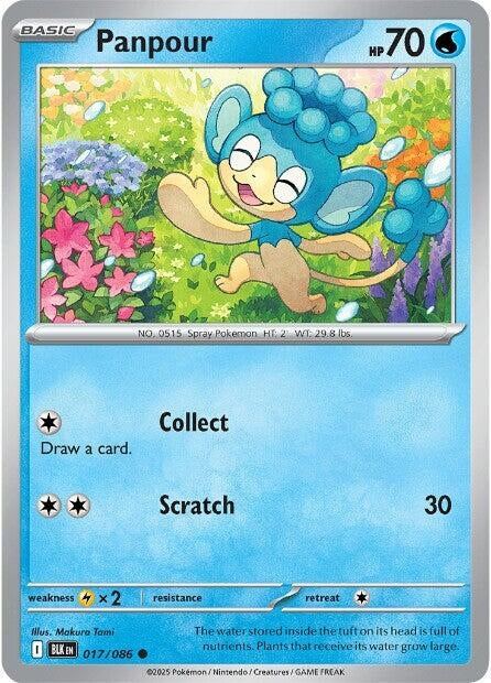 Image for Panpour (017/086) (BLK) - Pokemon