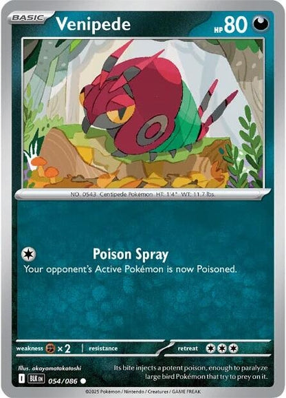 Image for Venipede (054/086) (BLK) - Pokemon