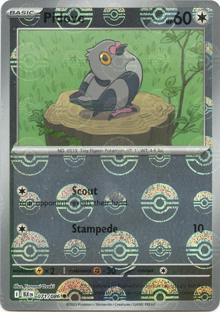 Image for Pidove (Poke Ball Pattern) (071/086) (BLK) - Pokemon